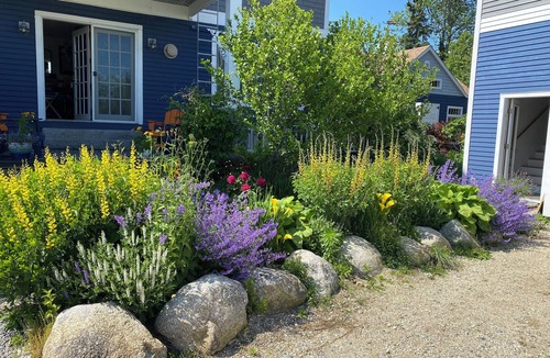 Castine House | Coastal Villa for Memorable Moments Along Coast of Maine