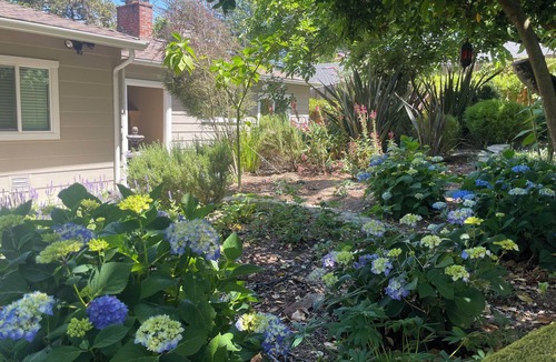Claremont House | Cozy 2-bedroom 2- bathroom house with beautiful garden/great location!