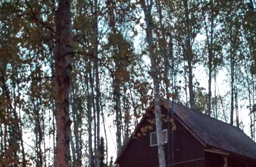 Fairbanks Cottage | Cozy Alaskan Cottage