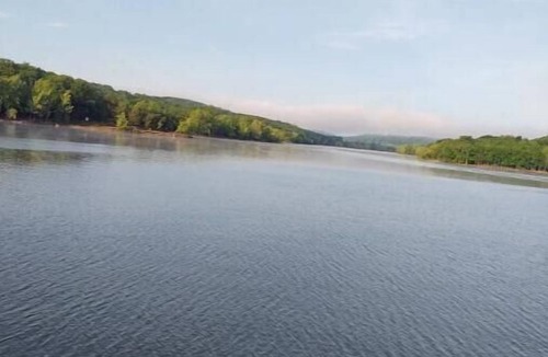 Omaha Cabin | Cozy Cabin with hot tub,Near Branson,Thunder Ridge Arena, and Marina.