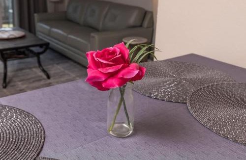 Taku - Campbell Apartment | Cozy Creekside Retreat -2BR Near Airport