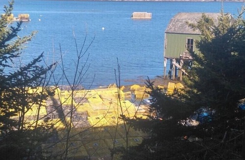 Sebascodegan Island Apartment | Cozy Maine Get-Away: Cundy's Harbor, Harpswell