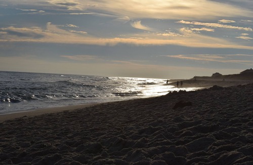 West of Town Apartment | Cozy, Studio Apartment just Outside of Nantucket Town