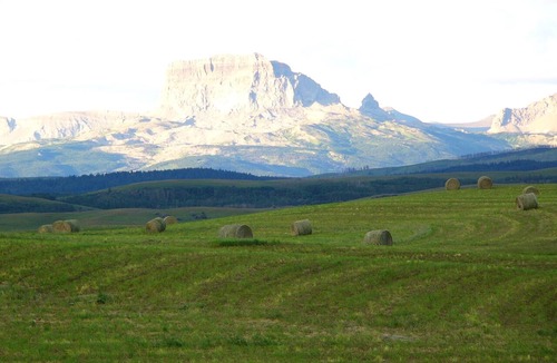 Mountain View Cabin | Cozy "tiny home" Cabin with amazing views