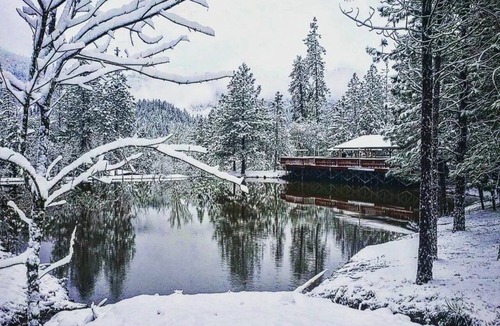 Wolf Creek House | Creekside Mountain Retreat