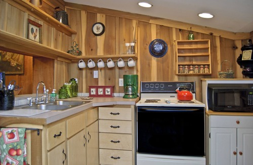 Leicester Cabin | Discounted Rates! Touch the STARS! at Asheville's Authentic 1890's Log Cabin!