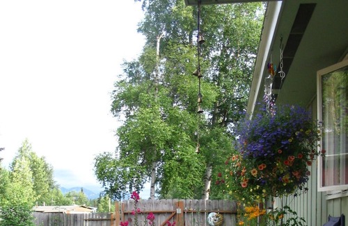 Northeast Anchorage House | Duben Too! Guesthouse our 6th Anchorage Guesthouse!