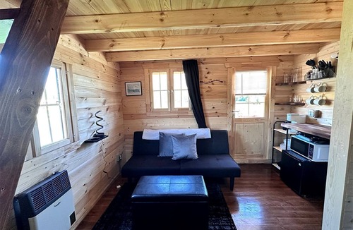 Denali Cabin | Eco-Friendly Lakefront Tiny House with Views of Panorama Mountain near Denali National Park