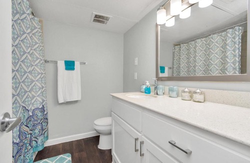 Braeswood Place Apartment | Elevate 24 One Bedroom Apartment Medical Center