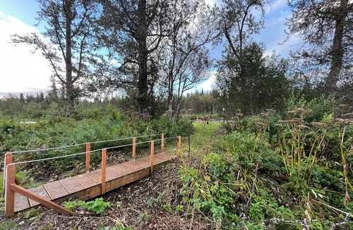 Anchor Point Cabin | Enchanting cabin on the river in charming Anchor Point, AK