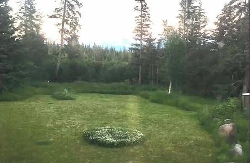Fritz Creek Cabin | Forest Creek cabin is nestled away in the woods offering a quiet retreat.