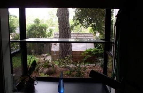 Berkeley House | Furnished Family Home, June 6-August 1, 2022 Dog OK, 1BR, 1 BA