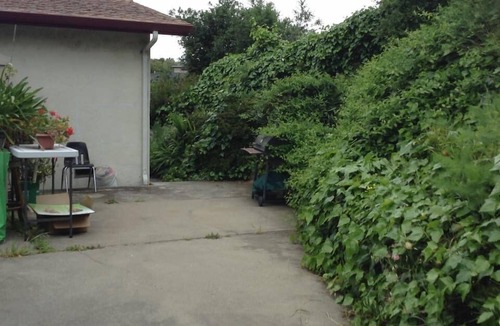 El Cerrito House | Gated Fenced Like a Mansion, Walk to Everything
