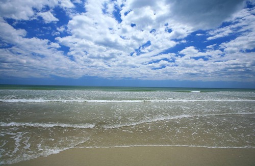 St. Augustine Beach Hotel | Guy Harvey Resort on St Augustine Beach