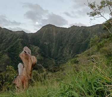 Punaluu Apartment | Hale Hā - North Shore Oahu
