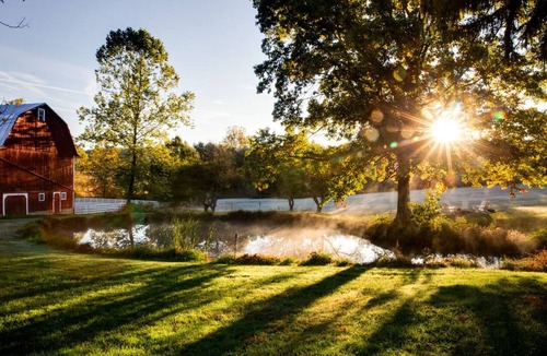 Bellville House | Historic 5-Acre Farmstay: Hot Tub, Sauna, Fishing Pond, Fire Pit, Pet-Friendly!