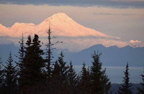 Diamond Ridge House | Homestead Trail Cottage-Hot Tub, Pet friendly & Amazing views