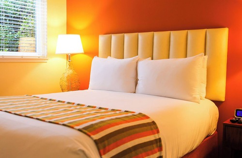 Cow Hollow Hotel | Hotel Del Sol