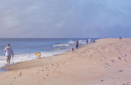 Dewey Beach Hotel | Hyatt Place Dewey Beach