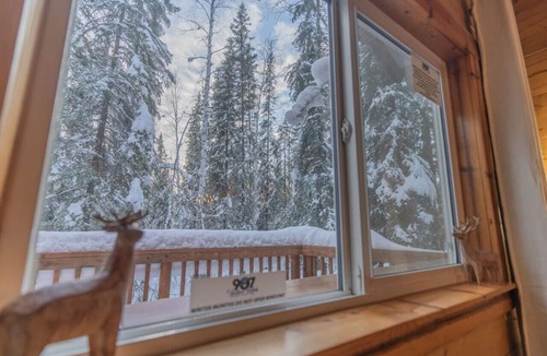 College Cabin | Iniakuk Forest Cabin Sleeps 4