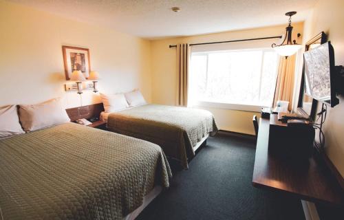 Homer Hotel | Kings Landing