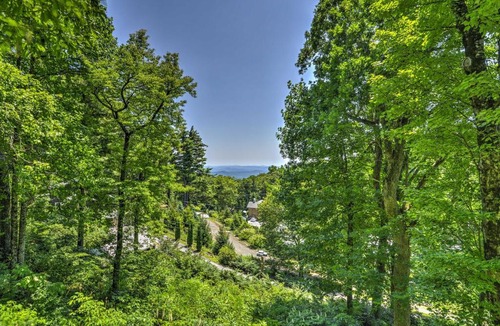 Little Switzerland House | 'La Petite Chalet' w/Blue Ridge Mountain Views!