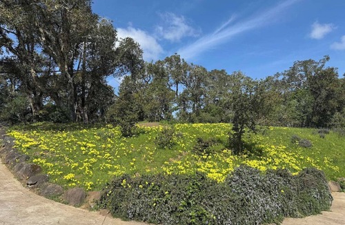 Woodside House | Lakefront Redwood Retreat 15 Minutes from Stanford - downstairs unit only