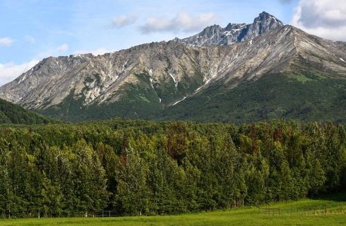 Lazy Mountain House | Legacy Mountain Lodge on 40-Acre Ranch w/Views!
