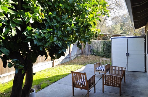 Davis House | Lemontree House: Chic Davis 3BR Gem near UC Davis