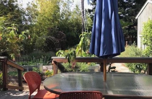 South Berkeley House | Light-filled spacious home with lovely gardens