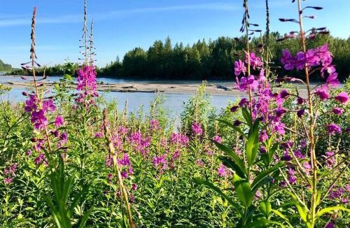 Talkeetna Cabin | Lodge Suites at Susitna River Lodge