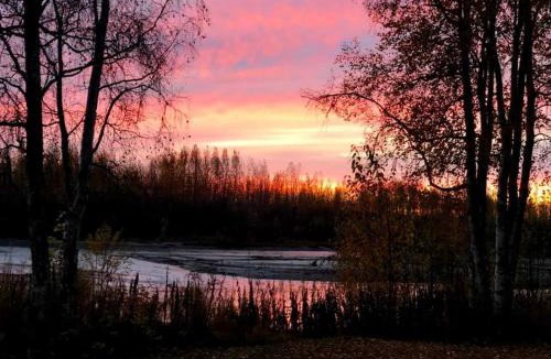 Talkeetna Cabin | Lodge Suites at Susitna River Lodge