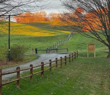 Loudonville House | Logan’s Lookout over Mohican - Modern Farmhouse