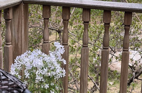 Oxford Cabin | Lovely, Lake Front 2-Bedroom Cabin with Porch and private Dock on Saturday Pond