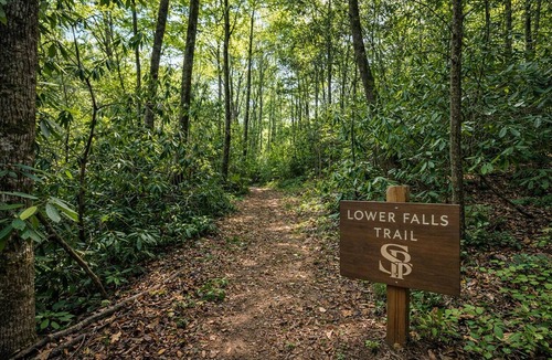 Marion Cabin | Luxury Creekside Cabin & Mountain Escape