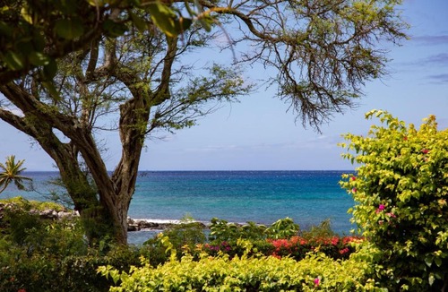 Napili Apartment | Napili Point Water Front 4 FREE CARS KBM Resorts Water Front 4 Units 5 Bedrooms NAP ML-3598