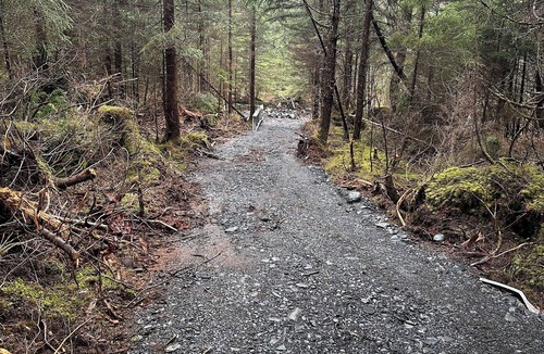 Bear Creek RV Rental | Natural scenic camp in Seward