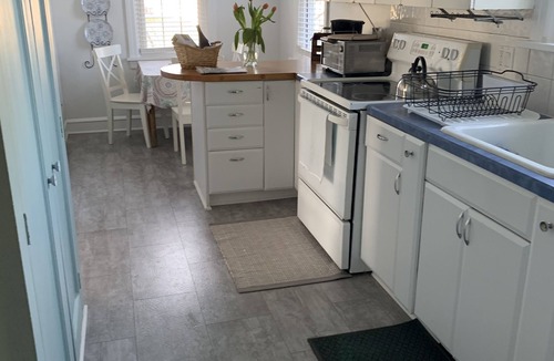 A-Zone House | Ocean Ave 5BR: Huge Fenced Yard, Pet Friendly, 2 Houses to Beach + Shark Park!