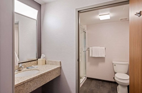 San Ramon Hotel | Pet-friendly Hotel! Comfortable 1BR Suite Short Drive to Mt Diablo State Park!
