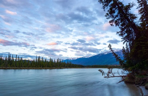 Jasper Cabin | Pine Bungalows