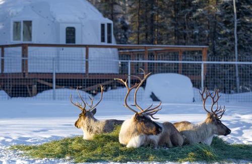 Pleasant Valley Villa | Pleasant Acres Reindeer Ranch