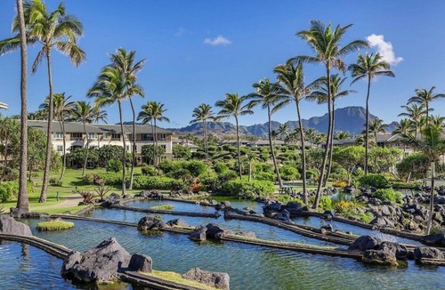 Poipu Condo | POIPU RESORT, sand POOL, daily fresh towel exchanges, turtles, cascading ponds