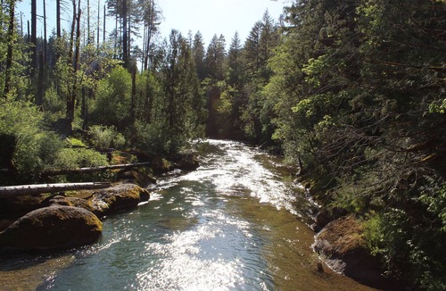 Fall Creek Cabin | Relaxing Fall Creek Vacation Rental