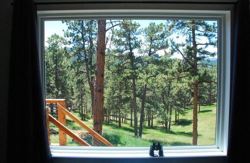 Morrison Apartment | Relaxing Mountain Studio