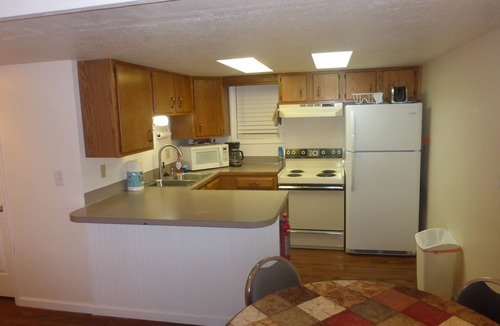 Soldotna Condo | Right on the Kenai River! Comfortable condo great for fishing or sightseeing