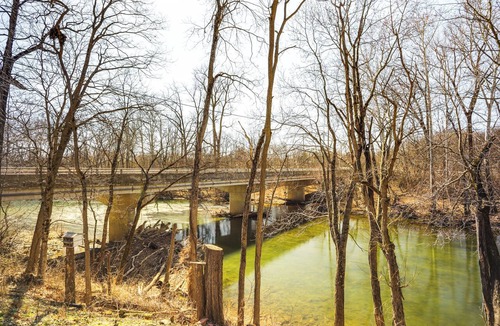 Covington Cabin | Riverfront Covington Cabin w/Deck & Fire Pit!