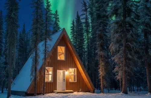 Tok Cabin | Roberts Lodge