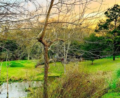 Chappell Hill House | Romantic Historic - Cottage Farmhouse - Pond - Porch - Fenced - The Cottage at Chappell Hill