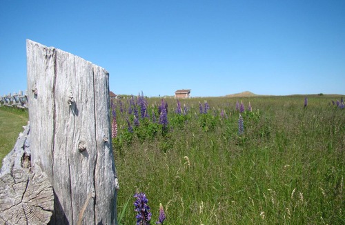 North Rustico House | Rustic Harbour House