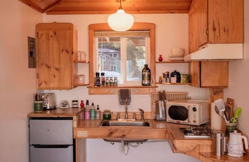 Lowell Point Cabin | Rustic Roots Seaside Blush Cabin (ADA)